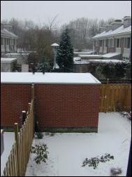 Click on one of the size names above to enlarge this image Click on one of the size names above to enlarge this image