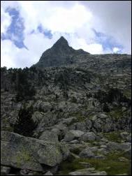Click on one of the size names above to enlarge this image