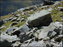 Click on one of the size names above to enlarge this image