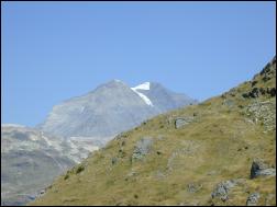 Click on one of the size names above to enlarge this image