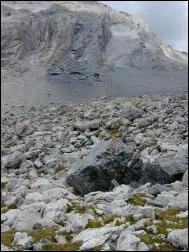 Click on one of the size names above to enlarge this image